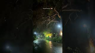 #foryou #viral #nature #shortvideo #travel #love #wearher #thunderstorm