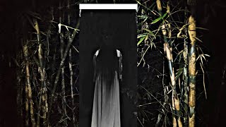 Penampakan kuntilanak di dekat pohon bambu