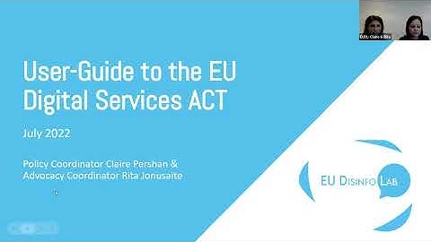 User Guide to the DSA: tools, rights and application in the fight against disinformation