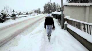 Promenade dans la neige