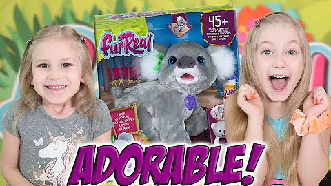 FUR REAL FRIENDS KOALA KRISTY!!