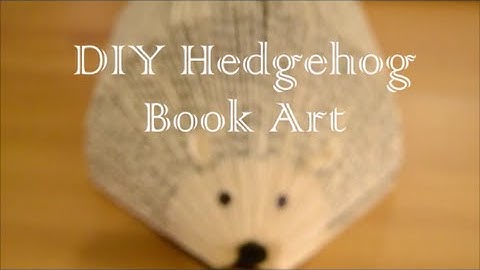 DIY Easy Hedgehog Book Art