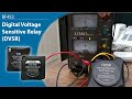 BF452 DVSR (Digital Voltage Sensitive Relay