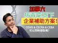 加拿大疫情補貼 | 企業 &amp; 自顧人士 版本 | 中小企業補助福音 | CEWS &amp; CECRA &amp; CEBA 可以同時申請嗎？