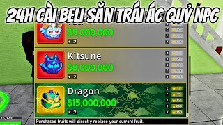 24h Cài Beli Săn Trái Ác Quỷ NPC