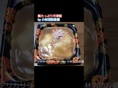 お弁当他：デリカサラダボーイ⑥（香川県綾歌郡宇多津町）～小林消防設備　福岡県豊前市　全類消防設備士　第二種電気工事士　経営学修士～　　＃小林消防設備　＃デリカサラダボーイ　＃お惣菜　＃お弁当　＃弁当