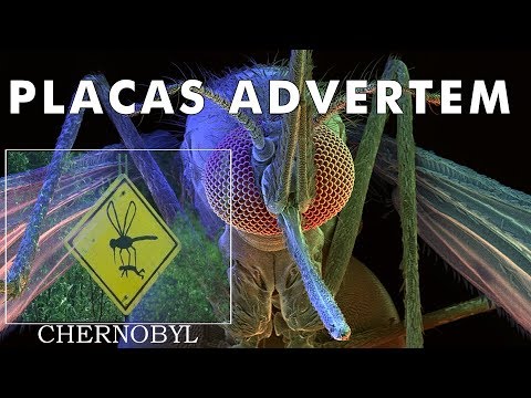 O que acontece quando um mosquito de Chernobyl pica alguém?