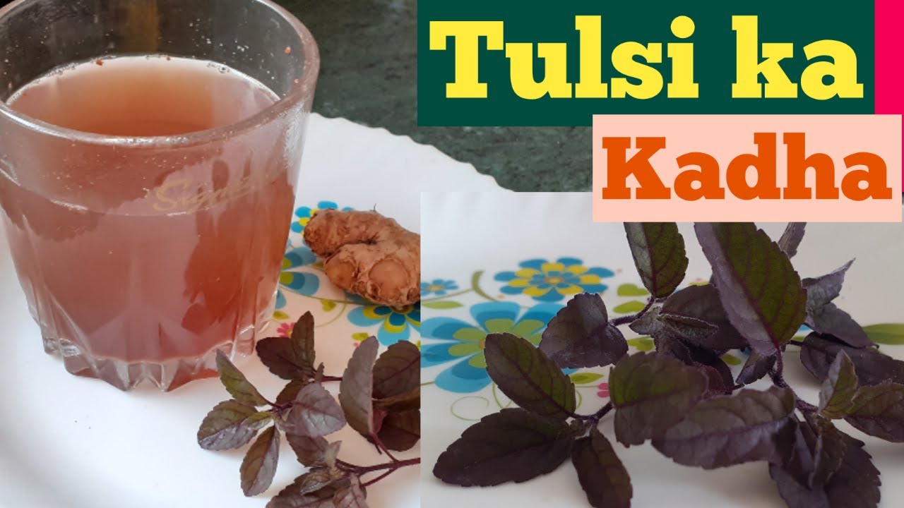 Tulsi ka kadha recipe सर्दी खांसी के लिए तुलसी काढ़ा Tulsi Kadha for