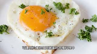 不怕缺蛋！工研院研發「植物荷包蛋」 主要成分「有這些」主打零膽固醇、低熱量