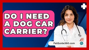 Do I Need A Dog Car Carrier? - PetGuide360.com