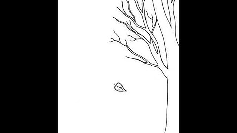 Animasi 2D Daun Jatuh Sketc