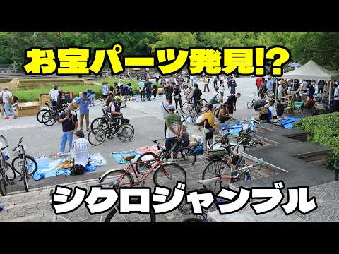 Osaka Bicycle Flea Market] Hunting for Road Bike Bargains at