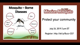 Beyond the Bite: Mosquito-Borne Diseases
