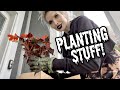 VLOG!! Flower Shopping + Planting!!