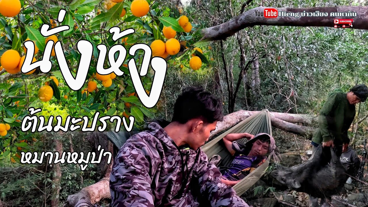 นั่งห้างต้นมะปรางหมานหมูป่า//ນັ່ງຫ້າງຕົ້ນໜາກປາງໜານໜູປ່າ Hieng บ่าวเฮียง คนหากิน