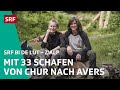 Flavia  fabiennes 60 km wanderung mit 33 schafen  zalp  srf bi de lt  2020  23  srf