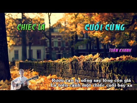 Video Chiếc Lá Cuối Cùng -Rượu cạn ly uống say lòng còn giá-... - youtube