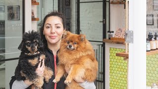 Dog Grooming Salon Tour | Welcome to Hackney Barkers!