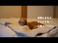 【北欧の知恵に学ぶ】冬を楽しむヒュッゲのこころえ。寒い家で心地よく暮らす6つのヒント。