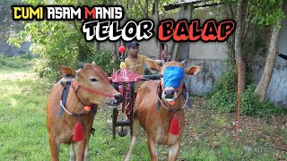 Kerapan Sapi Telor Balap | Cumi Asam Manis Di Skep Bangkalan