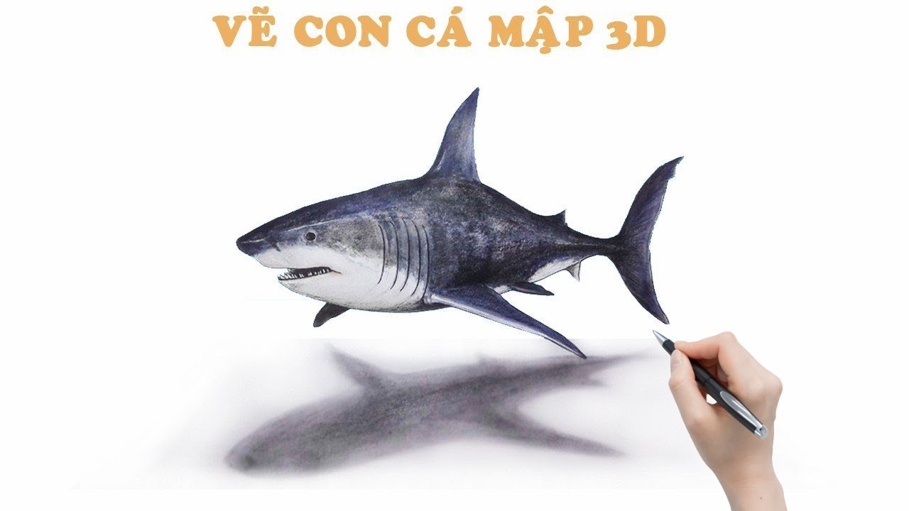 Hướng Dẫn Cách Vẽ Cá Mập 3D Siêu Sinh Động Và Đẹp Mắt