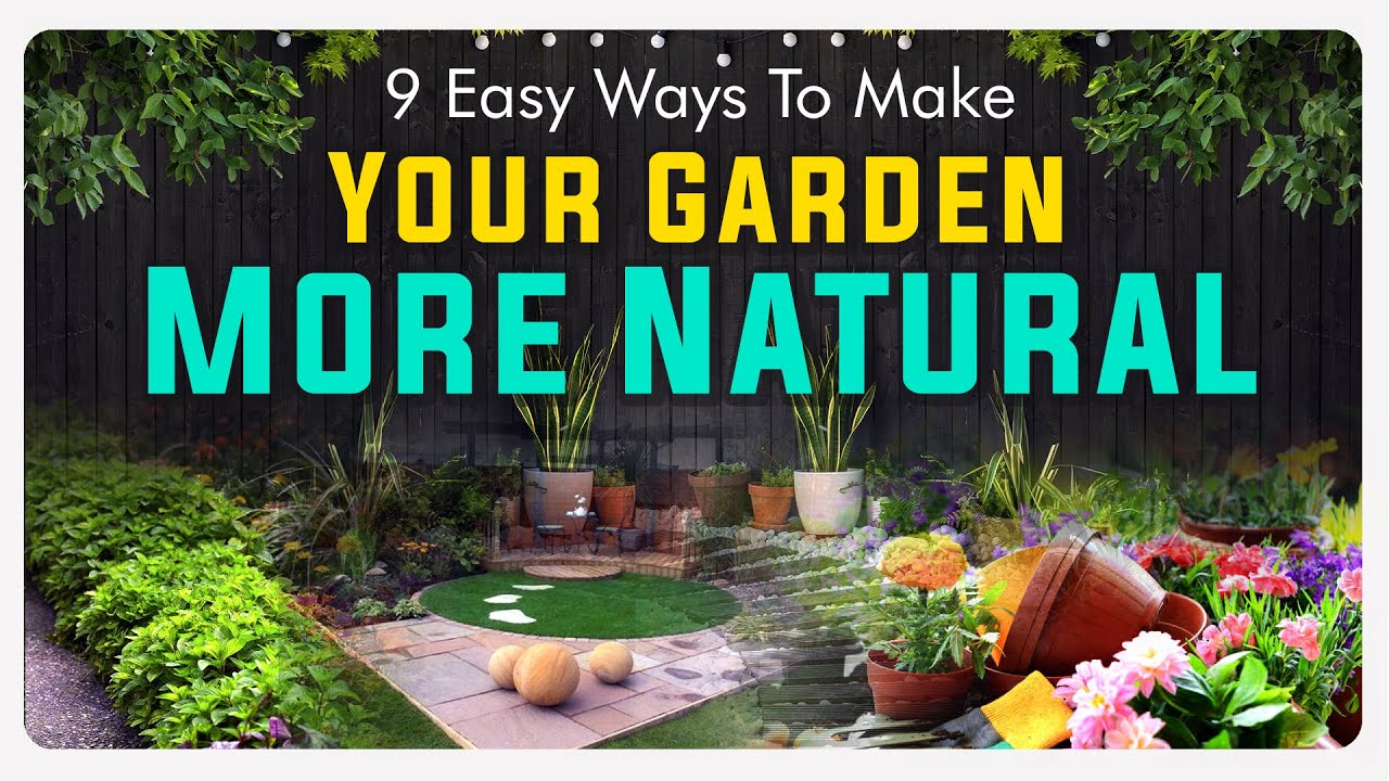 9 Easy Ways To Make Your Garden More Natural | Eden elf's