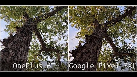 OnePlus 6T vs Google Pixel 3XL Camera Comparison - Winner???