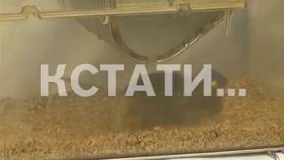 Внутреннюю броню против опасной болезни ищут нижегородские ученые Внутреннюю броню против опасной болезни ищут нижегородские ученые