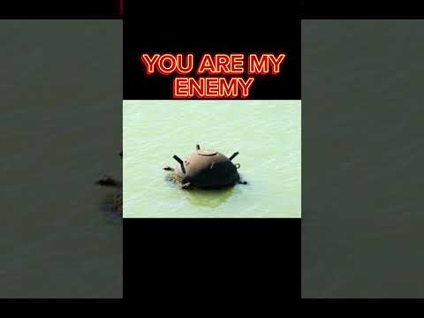 You Are My Enemy Titanic Edition Subscribe Viral Ships OceanLiners
