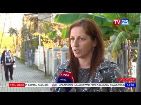 დაწუნებული პეტიციები ქობულეთის საკრებულოში