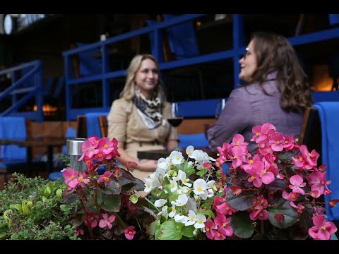 Наталия Рыжикова: как сделать вино, путешествия и прочий гедонизм своей работой? Наталия Рыжикова: как сделать вино, путешествия и прочий гедонизм своей работой?