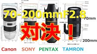 大三元の一角・70-200mmF2.8の性能比較～タムロンのコスパが半端ない！～