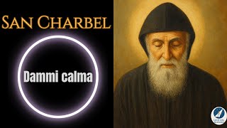 San Charbel, Dammi Calma