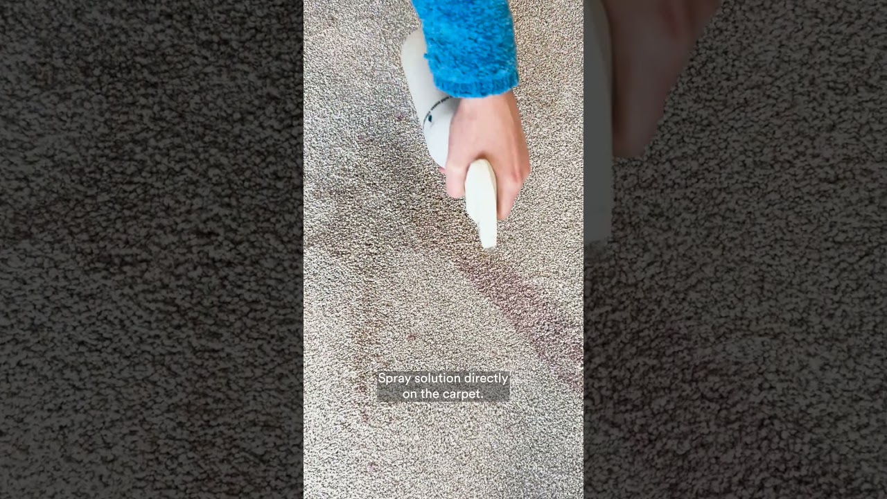 Belgotex Stain Proof Carpet