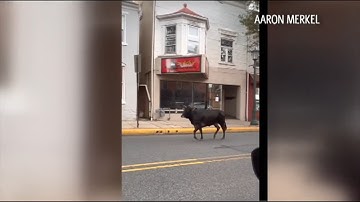 69 News afternoon NETCAST for 6/29/23