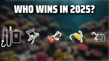 The Top 5 Best Reef Hook in 2025 - Must Watch Before Buying!