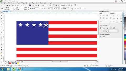 America Flag by Corel Draw - Local Designer
