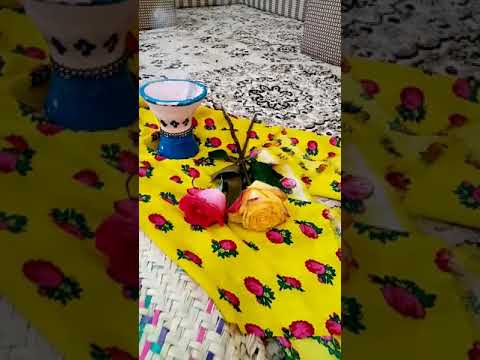 لطيفة الجنوب 49