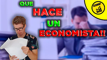 ¿Cuál es la función de los economistas?