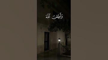 ﴿ وَقَرْنَ فِي بُيُوتِكُنَّ ﴾ | سورة الأحزاب | اللحيدان حفظه الله