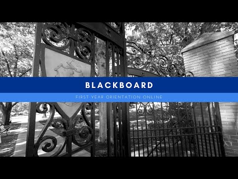 Blackboard | First Year Orientation Online