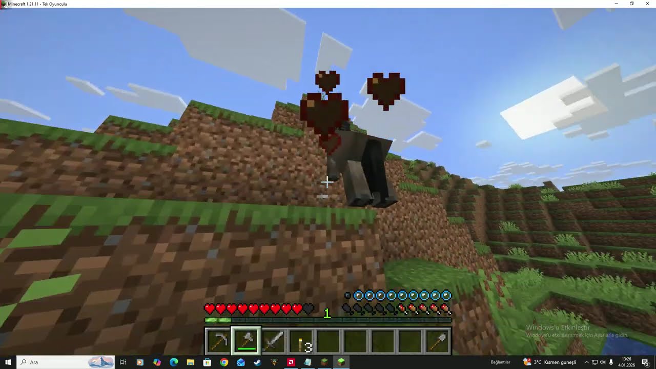 MİNECRAFT HAYATTA KALMA VİDEOSU GELDİ (BÖLÜM1)