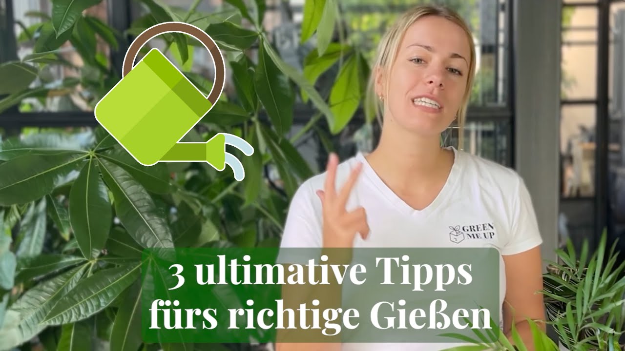 3 ultimative Tipps fürs richtige Gießen - Zimmerpflanzen richtig wässern - mit Lisa
