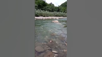 من لطائف القران الكريم 363 جمع الكثرة (شهور) وجمع القلة (أشهر)