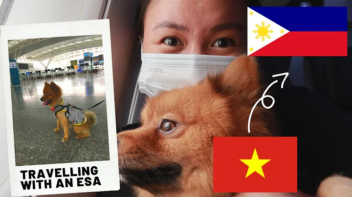 Viajando com seu Cão de Suporte Emocional nas Filipinas