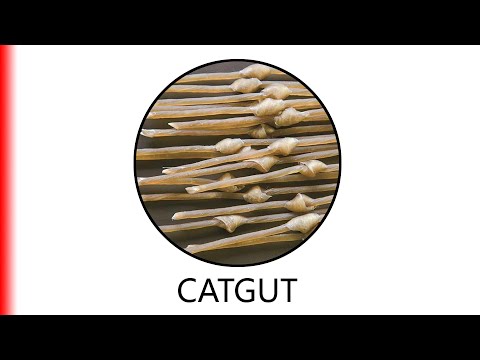 CATGUT.