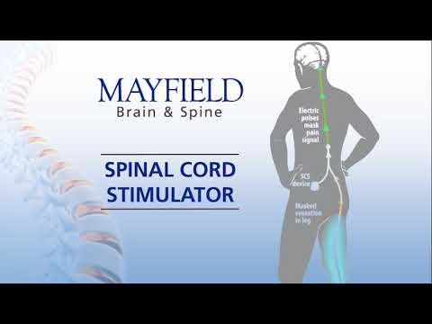 Mayfield Brain & Spinal Column