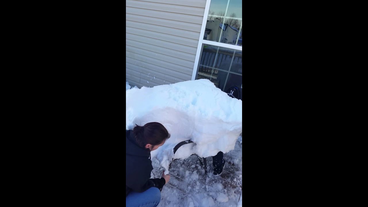Clearing snow off the deck 1-25-2016