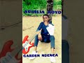 ACHILIA MOYO GARDEN NDENGA