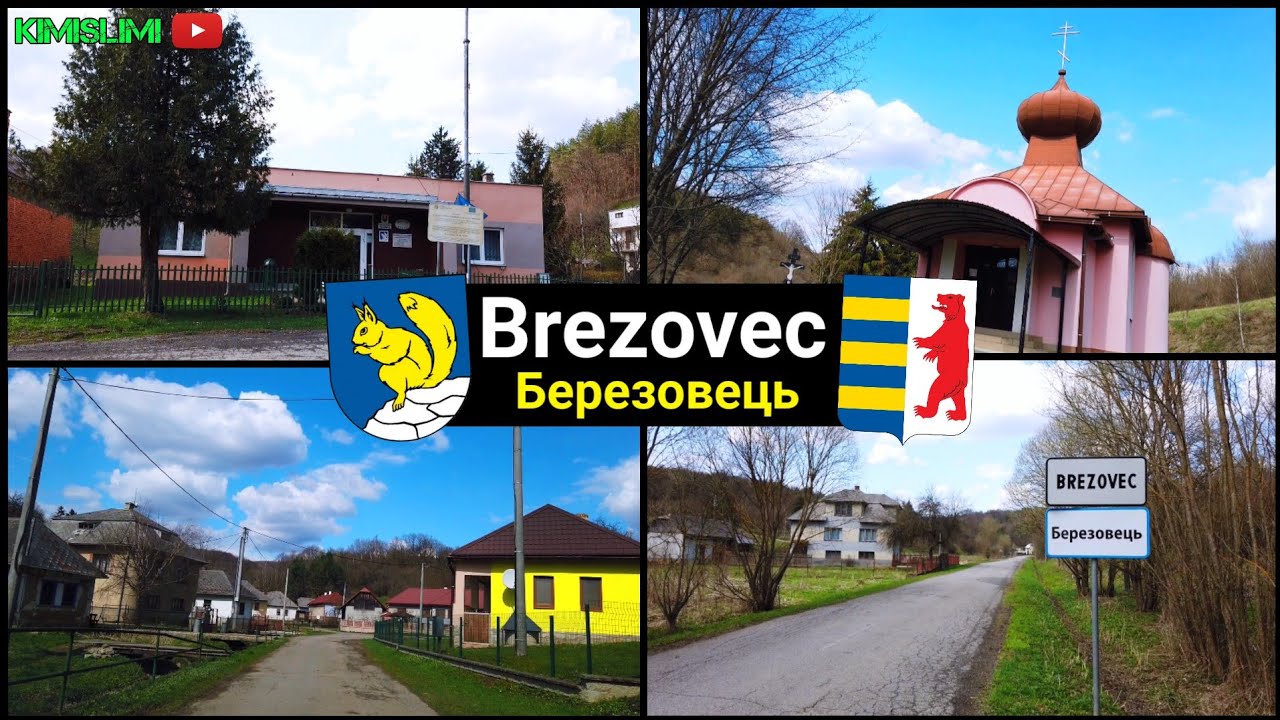 Brezovec